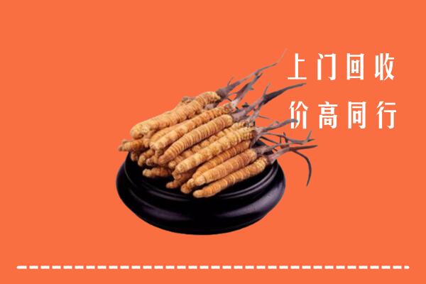 高价求购：开封市顺河区回收散虫草