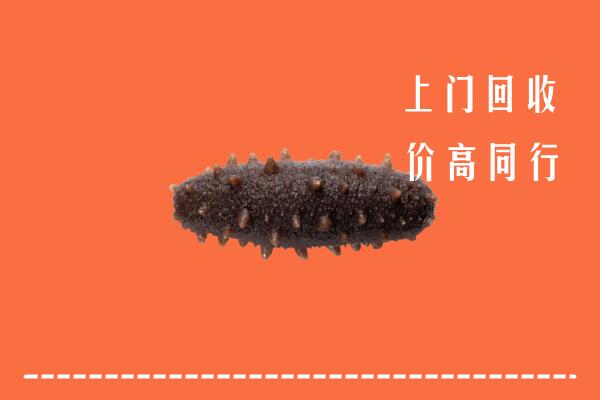 高价求购：开封市顺河区回收海参